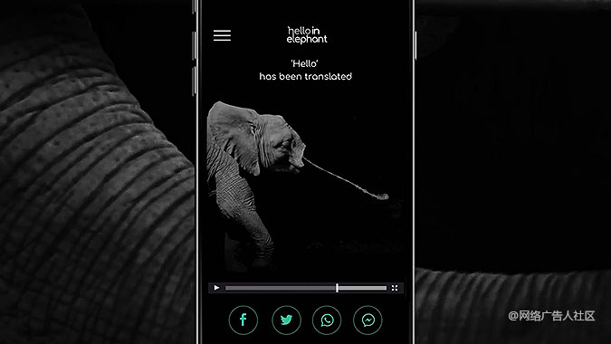 ĴҰ﹫֯App 