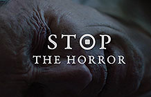 ްĿ Stop The Horror