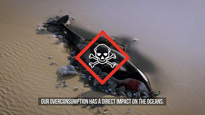Sea Shepherd֯2019ʥڻ Ϸı