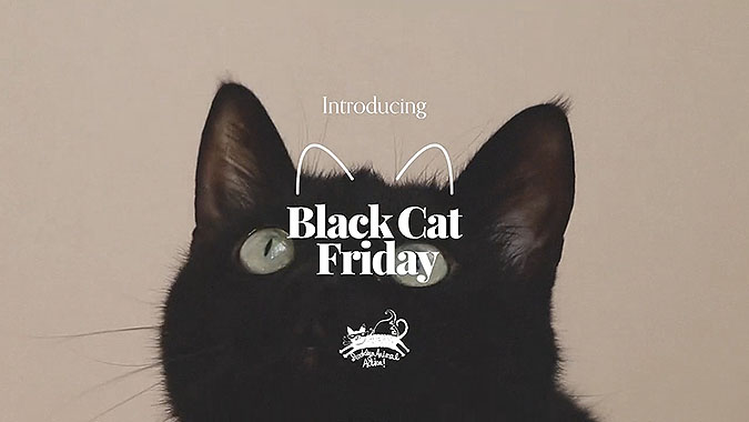 拯救猫咪公益活动