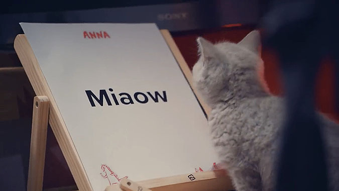 Ӣڹ˾Annaഴ