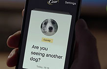 俄罗斯狗粮品牌Cesare创意智能硬件 狗狗想你了