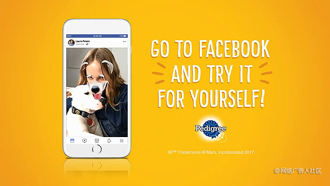 Pedigreeﹷ Facebook˾