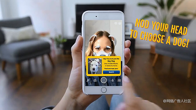 Pedigreeﹷ Facebook˾