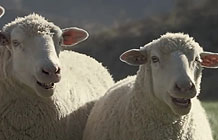 【字幕】本田汽车超级碗广告 会唱歌的羊