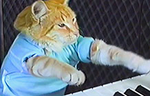 Youtube2023超级碗广告 键盘猫