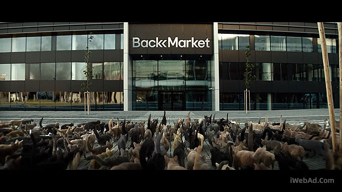 豸¹˾BackMarket è䷴