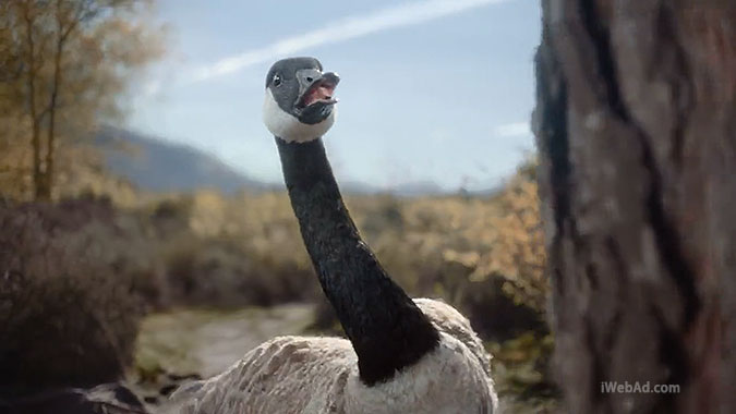 CGI
